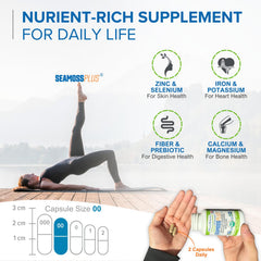 Power By Naturals Bladderwrack root highlighted as a mineral-rich ingredient