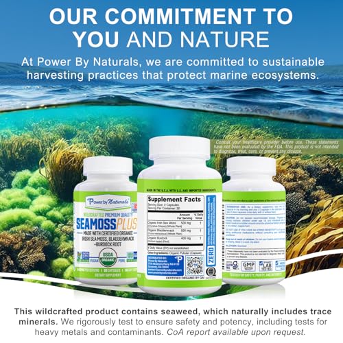 Two capsules daily dosing visual for Power By Naturals Sea Moss Plus