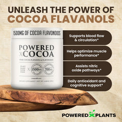 Powered X Plants cocoa powder in cup ready to mix into drinks and recipes.