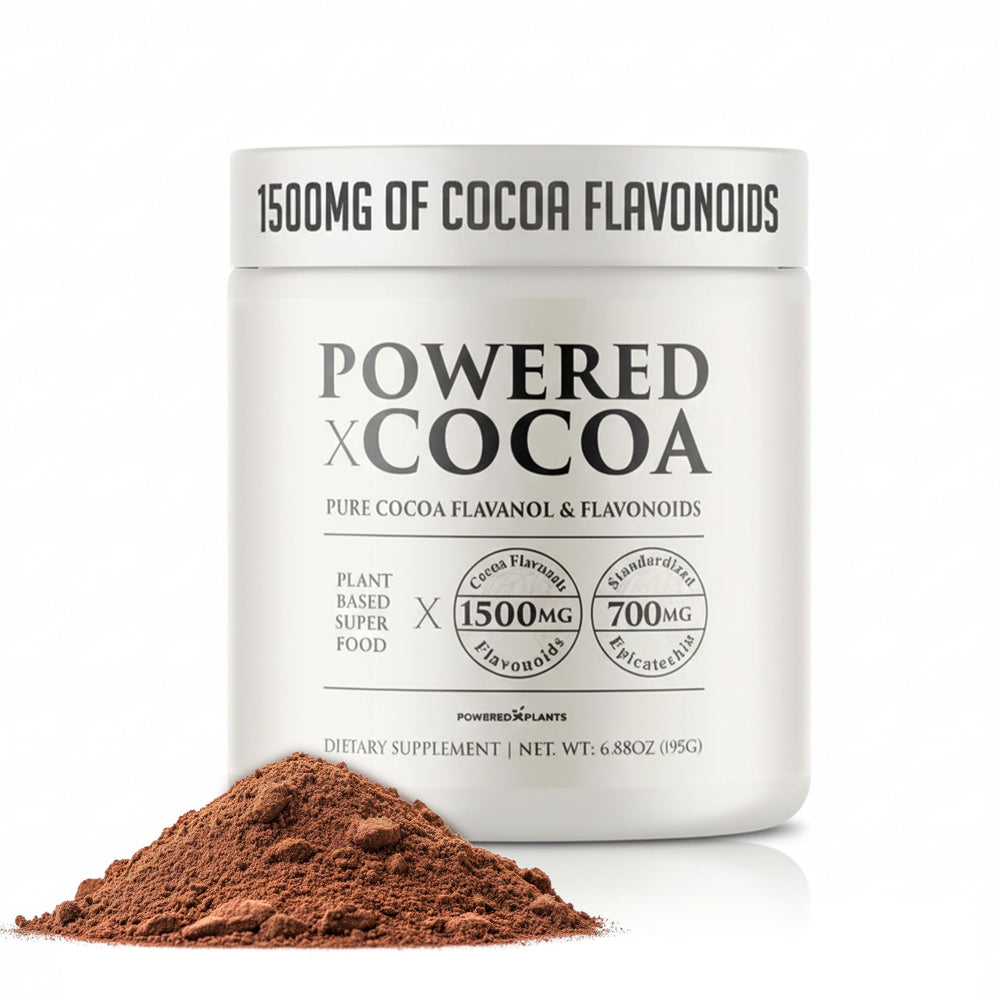 Powered X Plants High Flavanol Cocoa Powder scoop shows rich, aromatic powder for daily vitality.