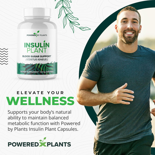 Powered X Plants insulin plant capsules packaging highlights 240-count supply.