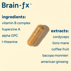PPO Lab Brain-fx packaging seal signals quality and third-party testing.