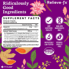 Symbolic icon of black pepper extract aiding bioavailability in Relieve-fx