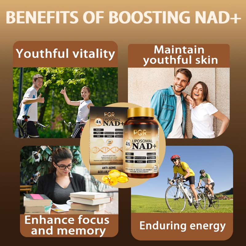 PQR liposomal delivery close-up indicates enhanced NAD+ absorption.