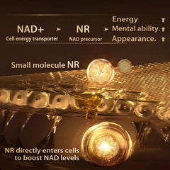PQR NAD softgels in a neat row suggest easy daily use.
