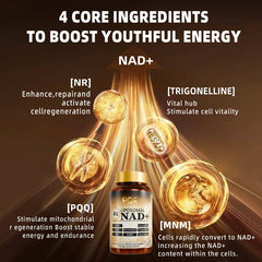 PQR NAD supplement transparent bottle demonstrates liposomal delivery for better absorption.