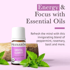 Pranarom Mental Clarity diffuser setup with a citrus scent for energizing ambiance.