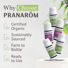 Pranarom starter kit bundle visual showcasing complete aromatherapy set.