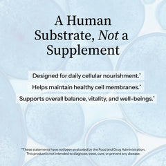 Lifestyle shot with Precision Nutrients for cognitive focus