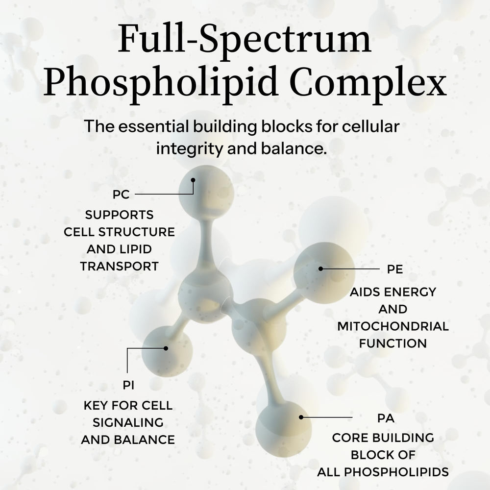 Liposome-inspired delivery concept with Precision Nutrients phospholipids
