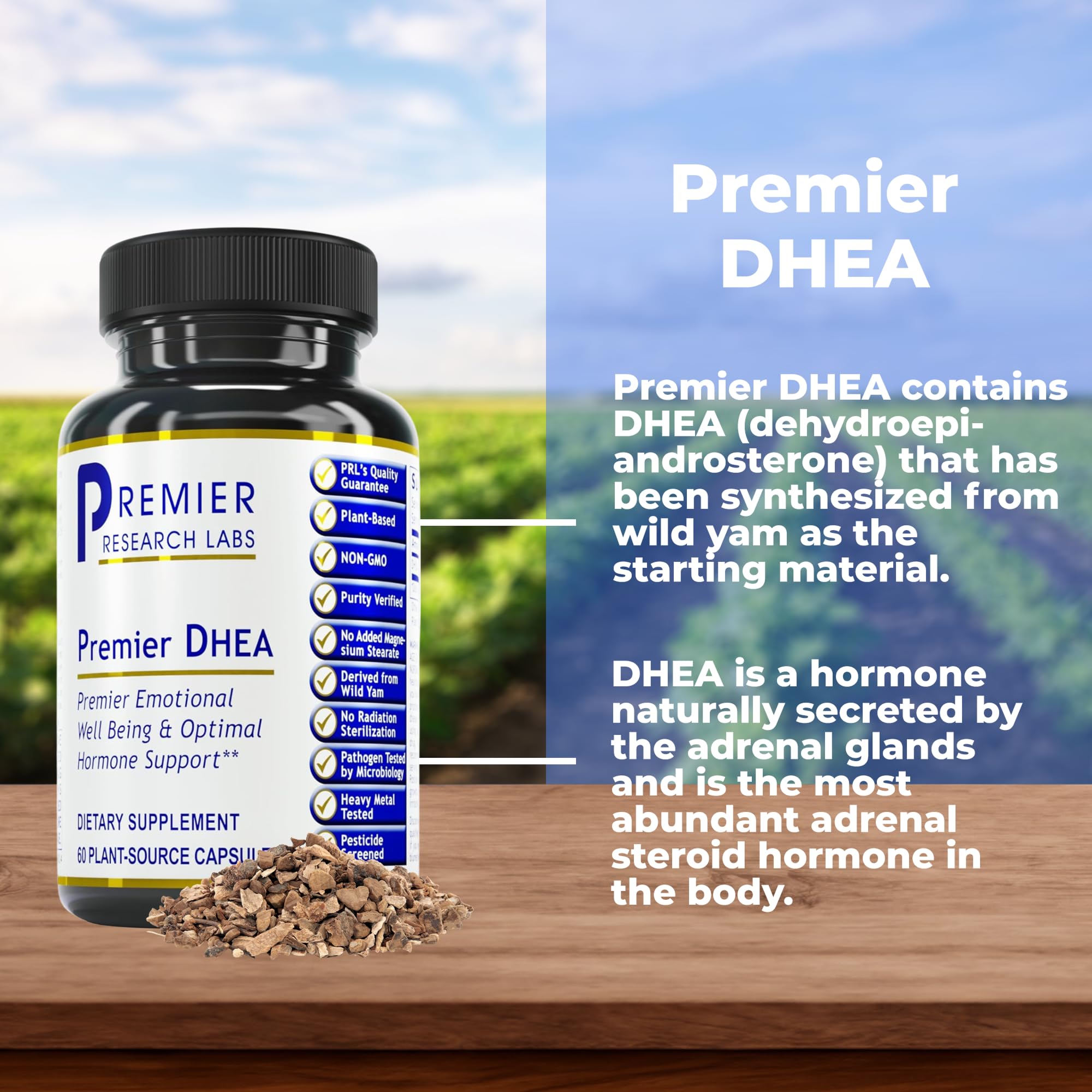 Premier DHEA capsules close-up for daily wellness support.