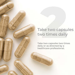 Premier Green Tea Extract label close-up showcases vegan, Premier-quality formula.