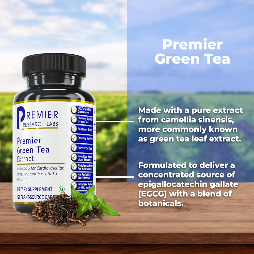 Premier Green Tea Extract capsules on a spoon for easy daily dosage.