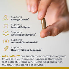 Fermented Cordyceps component shown in AdrenaVen for vitality.