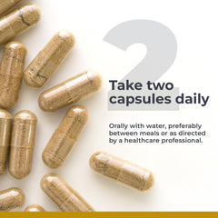 Closeup of Premier Research Labs American Ginseng capsules emphasizes smooth texture.