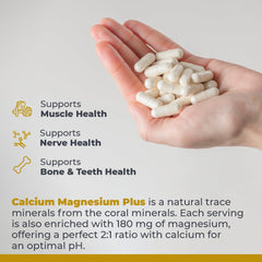 Premier Research Labs Coral calcium bottle close-up emphasizing vegan mineral source for bone health