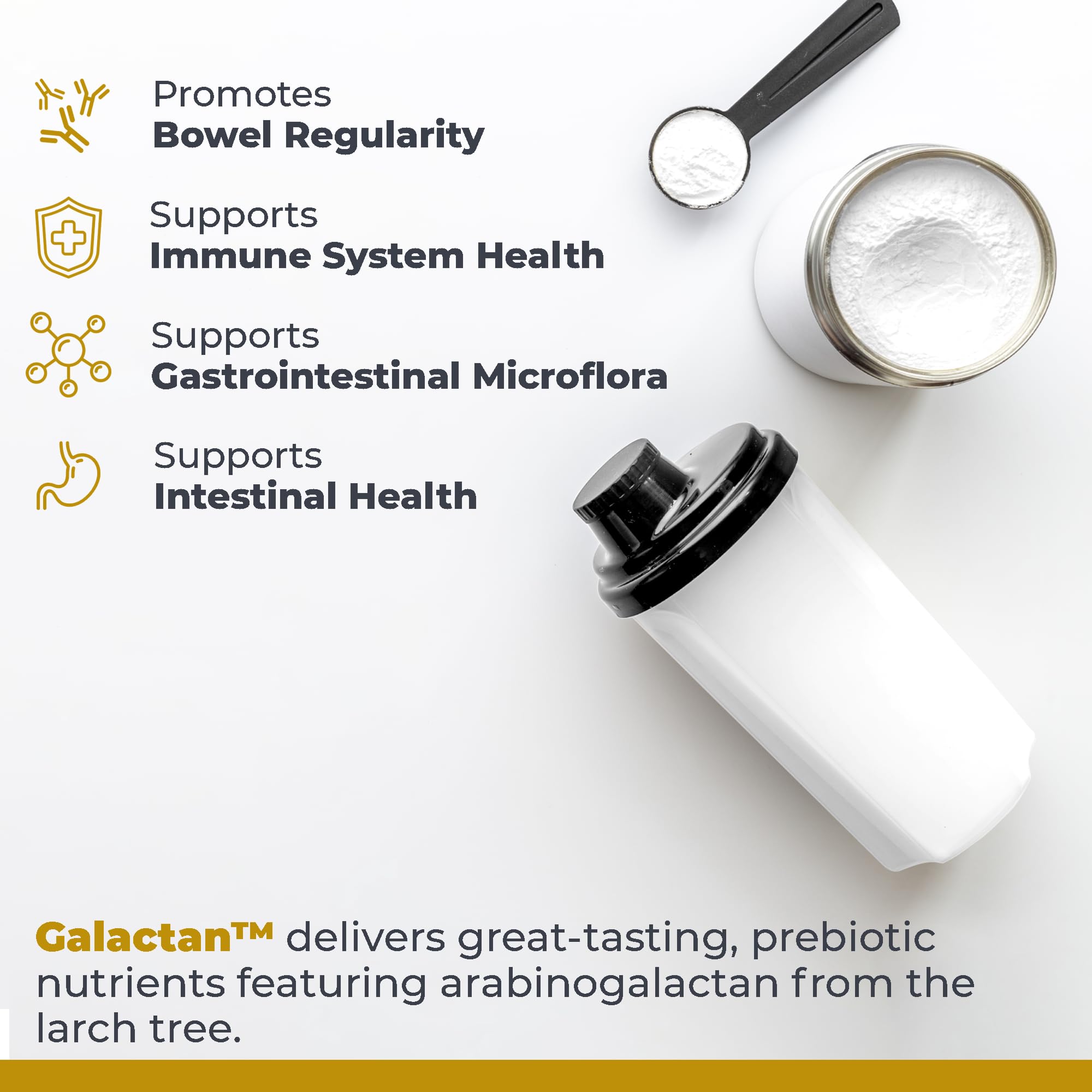 Premier Research Labs Galactan powder texture closeup illustrating dissolvable fiber.