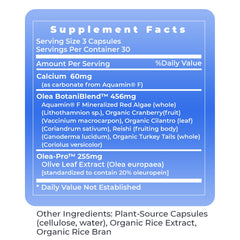 Premier Research Labs ImmunoVen packaging shot showing 90 capsules