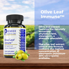 Premier Research Labs Olive Leaf Immune capsules ready-to-swallow for convenient daily use.