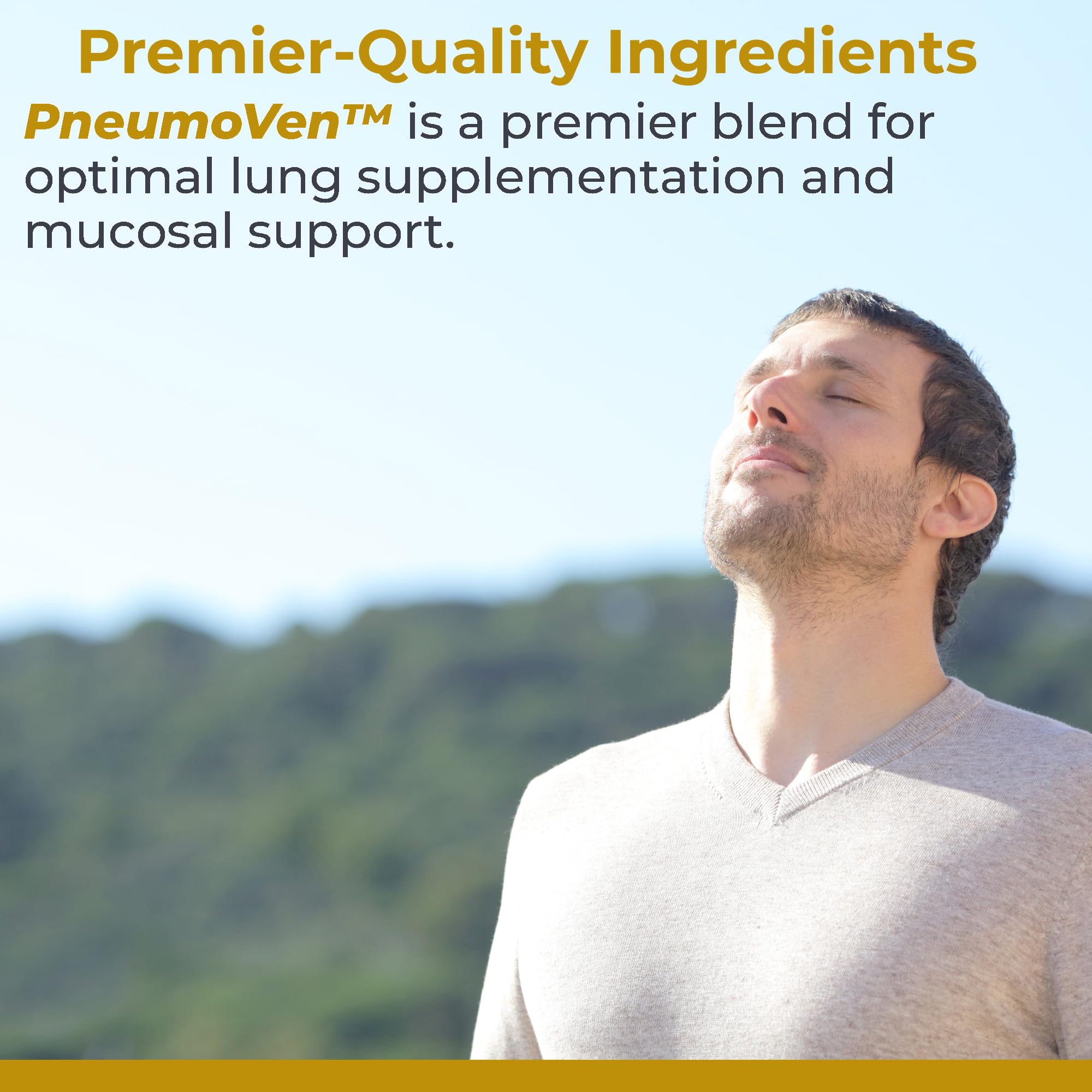 Bromelain source from pineapple in PneumoVen supports natural inflammation response.