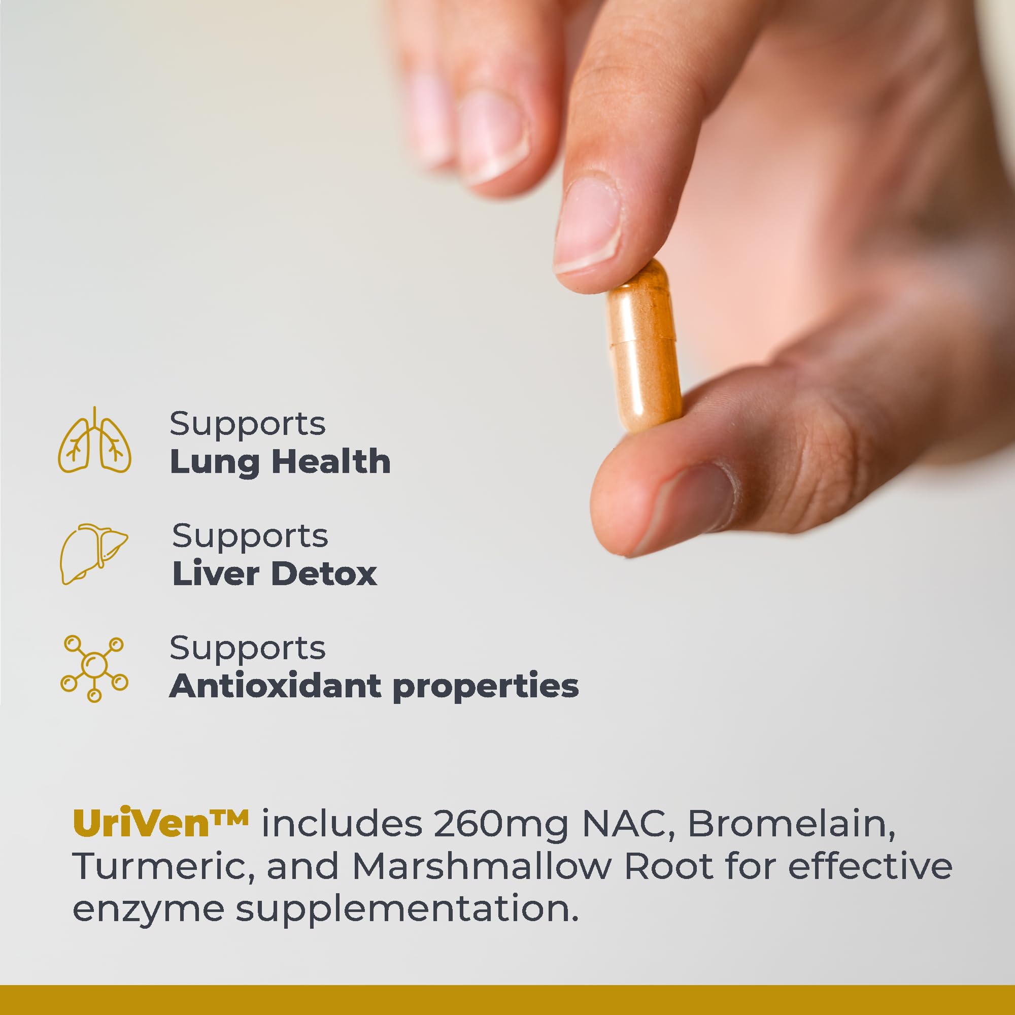 NAC ingredient highlight in PneumoVen supports antioxidant-friendly lung wellness.