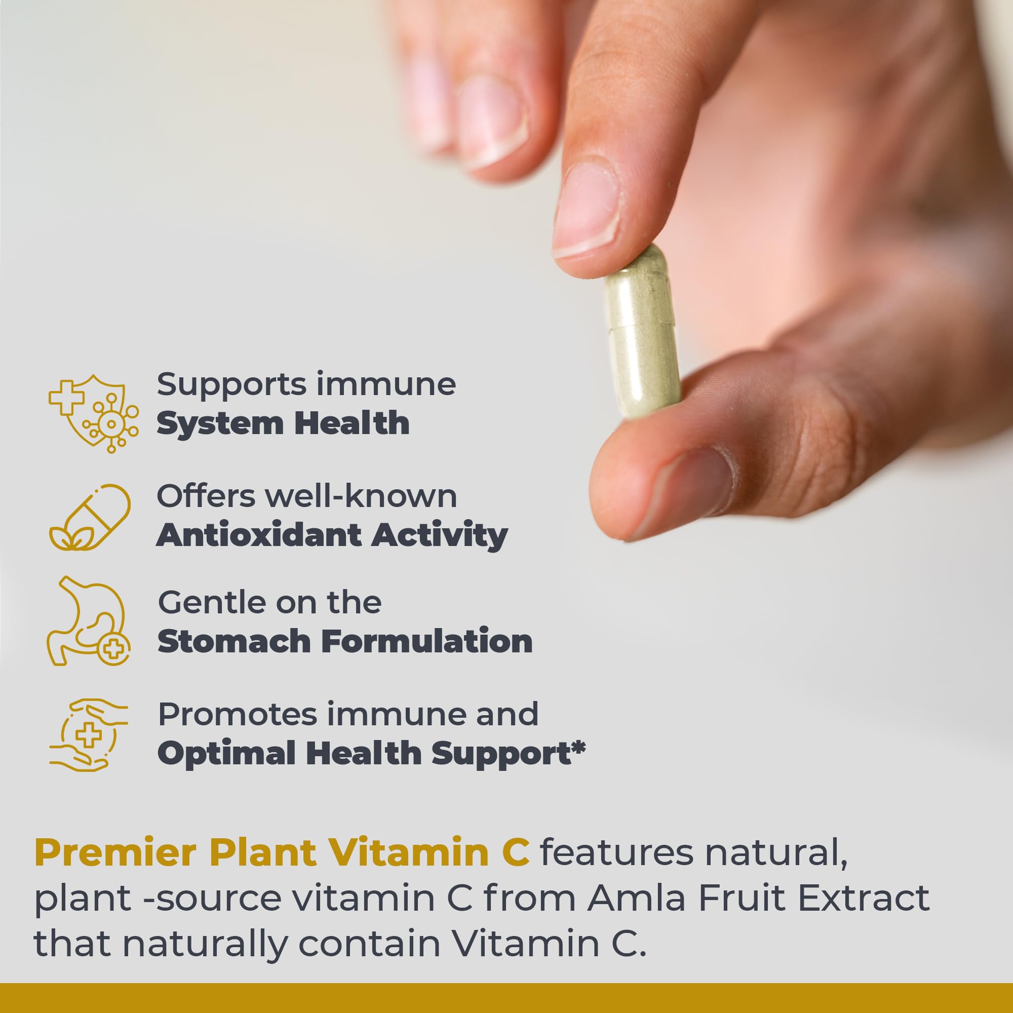 Premier Research Labs Vitamin C amla extract close-up emphasizing natural source.