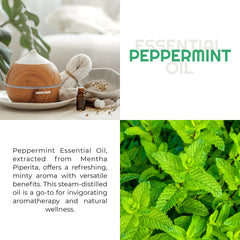 Premium Nature Peppermint Oil hair-growth image suggests scalp-refreshing use and smoother strands.