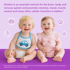Premom visual hints at baby brain development support through choline intake.