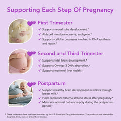 Premom daily routine scene featuring choline supplementation during pregnancy.