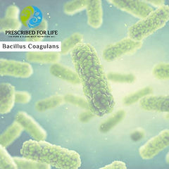 Prescribed For Life Bacillus Coagulans powder pouch with resealable packaging