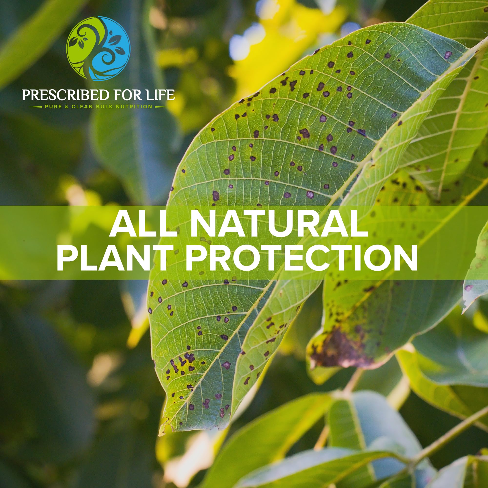 Garden scene with potassium bicarbonate powder supporting plant health from Prescribed For Life.