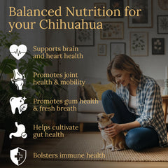 Chihuahua bottle label close-up highlights USA-made quality and real bacon flavor for daily use.