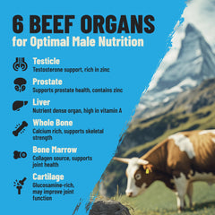 PRIMAL FURY serving idea image suggesting daily use.