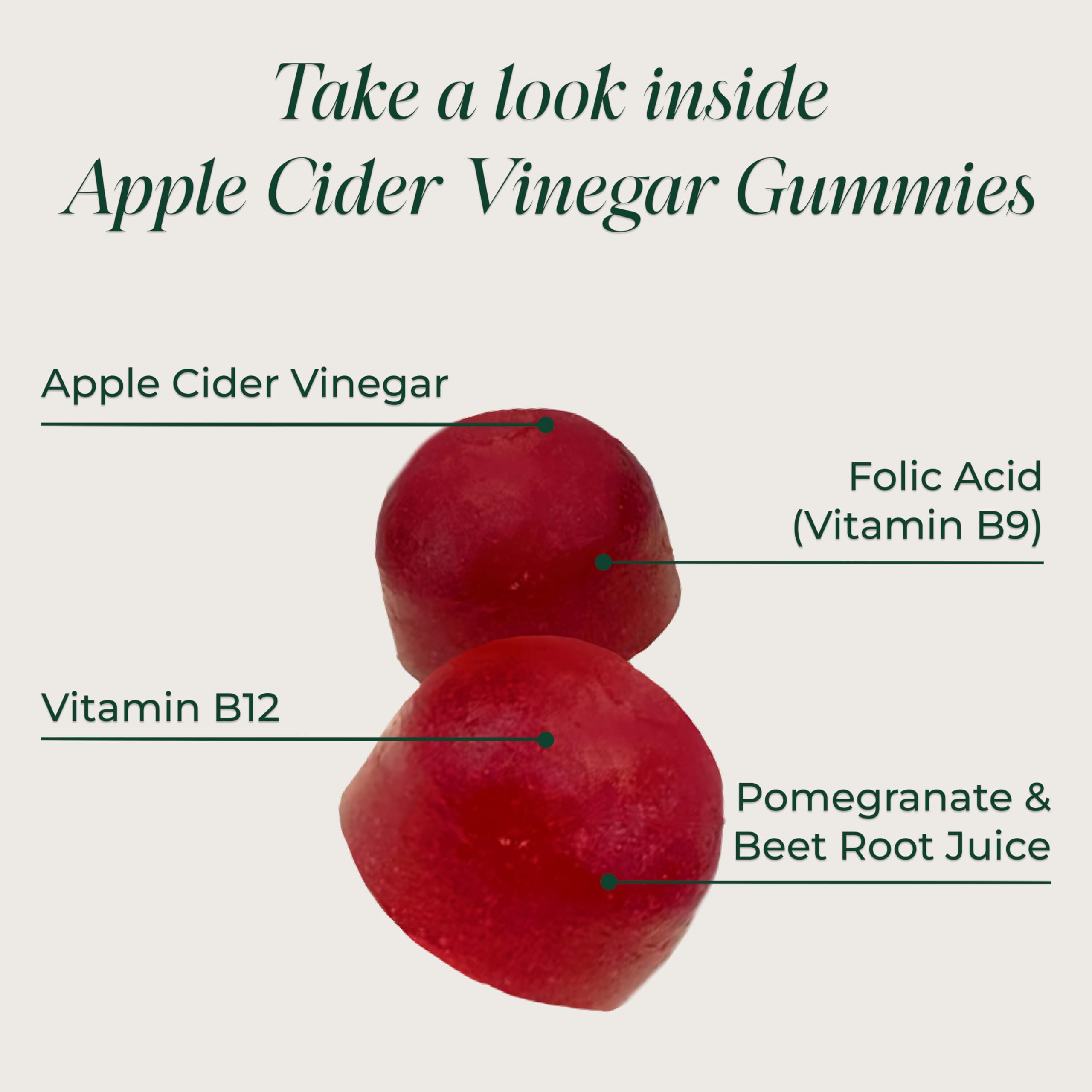 Primal Harvest ACV Gummies with pomegranate visual, detox-friendly daily routine