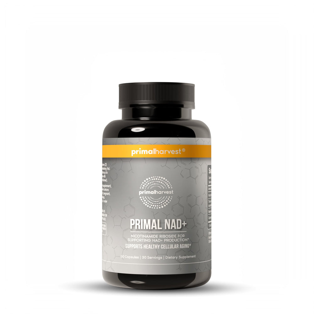 Primal Harvest NAD+ bottle front view highlighting convenient energy support