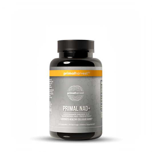 Primal Harvest NAD+ bottle front view highlighting convenient energy support