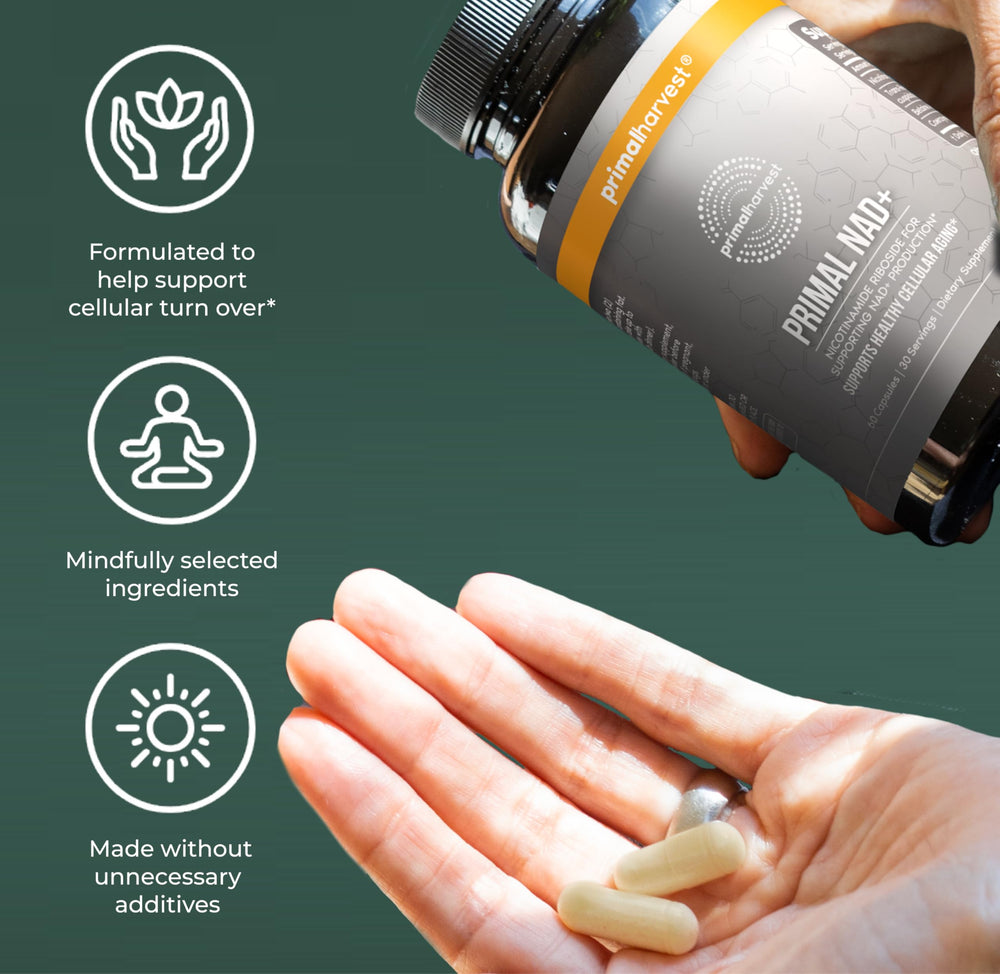 Ingredients illustration highlighting NR, trans-resveratrol, CoQ10, and betaine