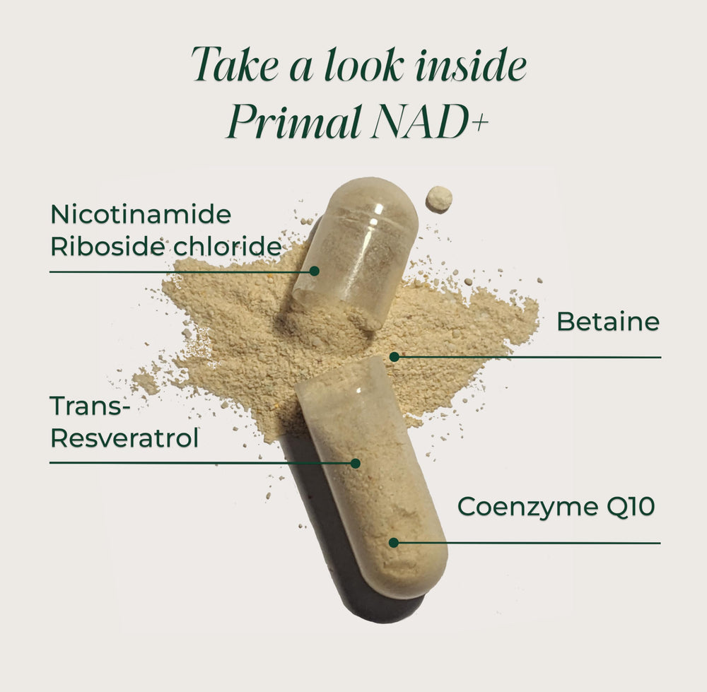 Primal Harvest NAD+ Plus label close-up emphasizing NR and CoQ10 ingredients.