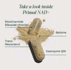 Primal Harvest NAD+ Plus label close-up emphasizing NR and CoQ10 ingredients.
