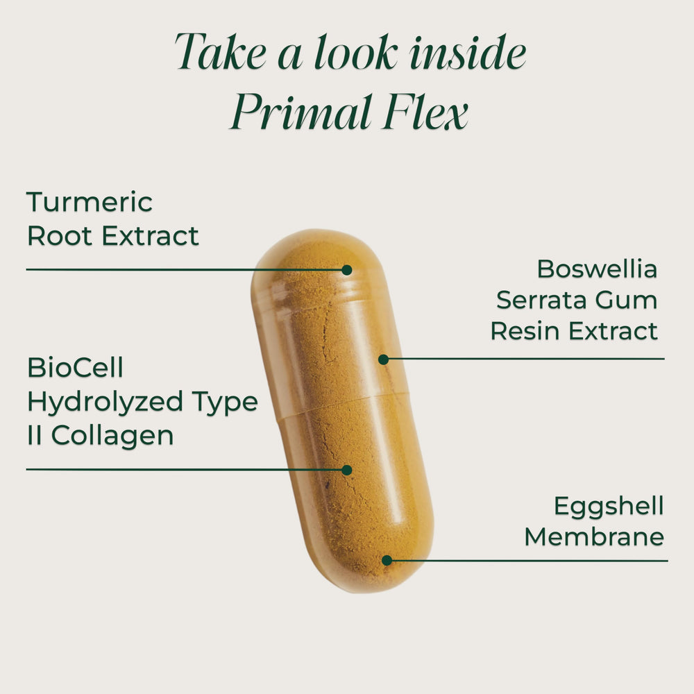Primal Flex turmeric root image hints at anti-inflammatory benefits