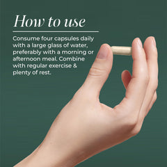 Primal Harvest Primal Liver artichoke extract highlight suggests antioxidant-focused ingredients.