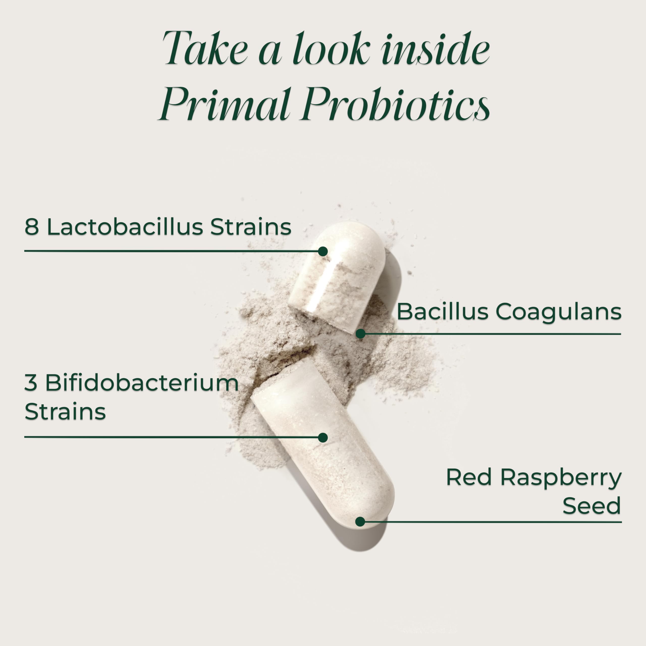 Primal Harvest Probiotics capsules close-up indicates simple daily dosage with water.