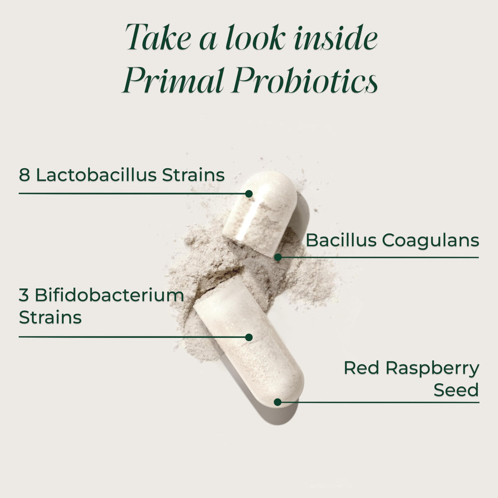 Primal Harvest Probiotics label-view highlighting 12 strains.