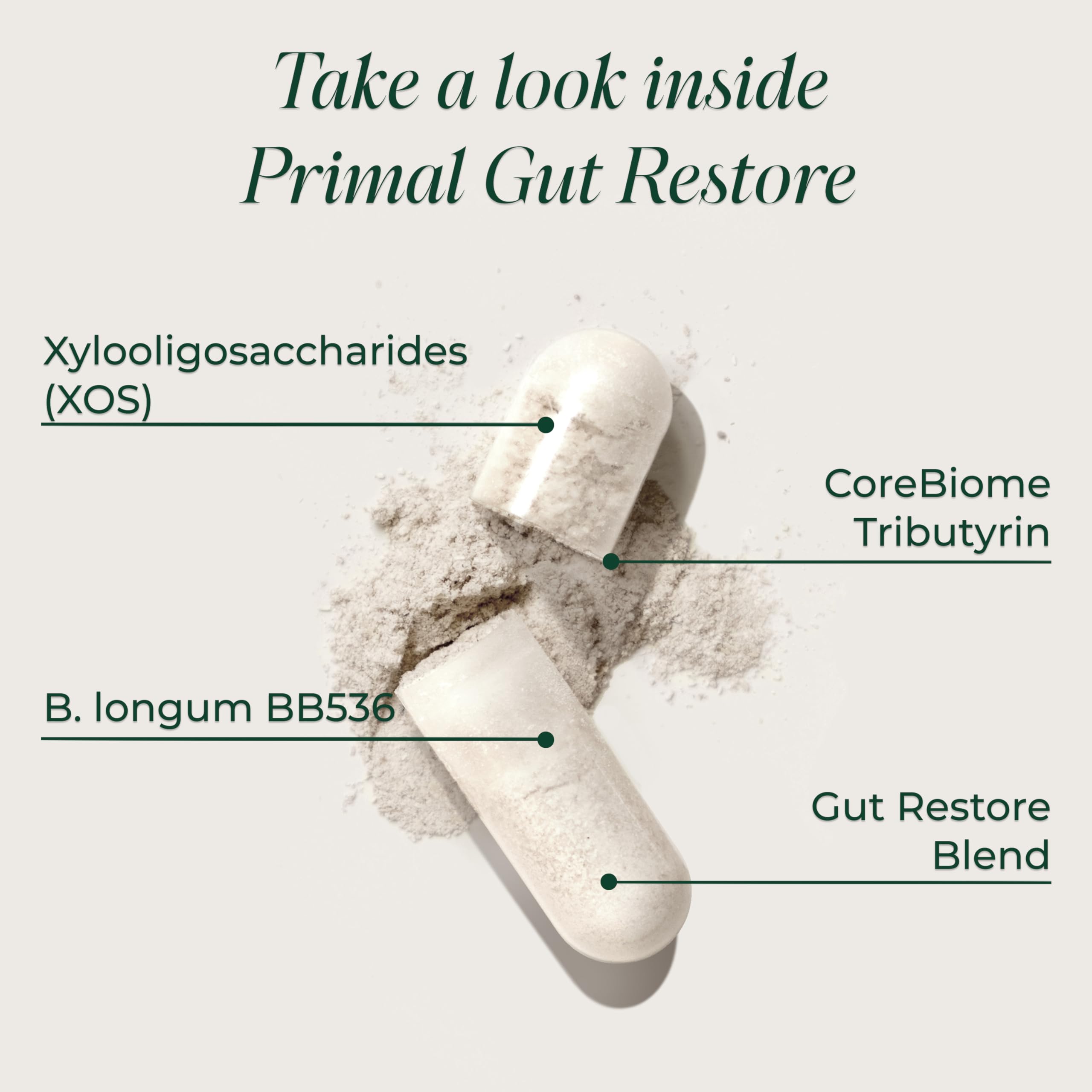 Primal Harvest Restore capsules close-up for easy daily intake