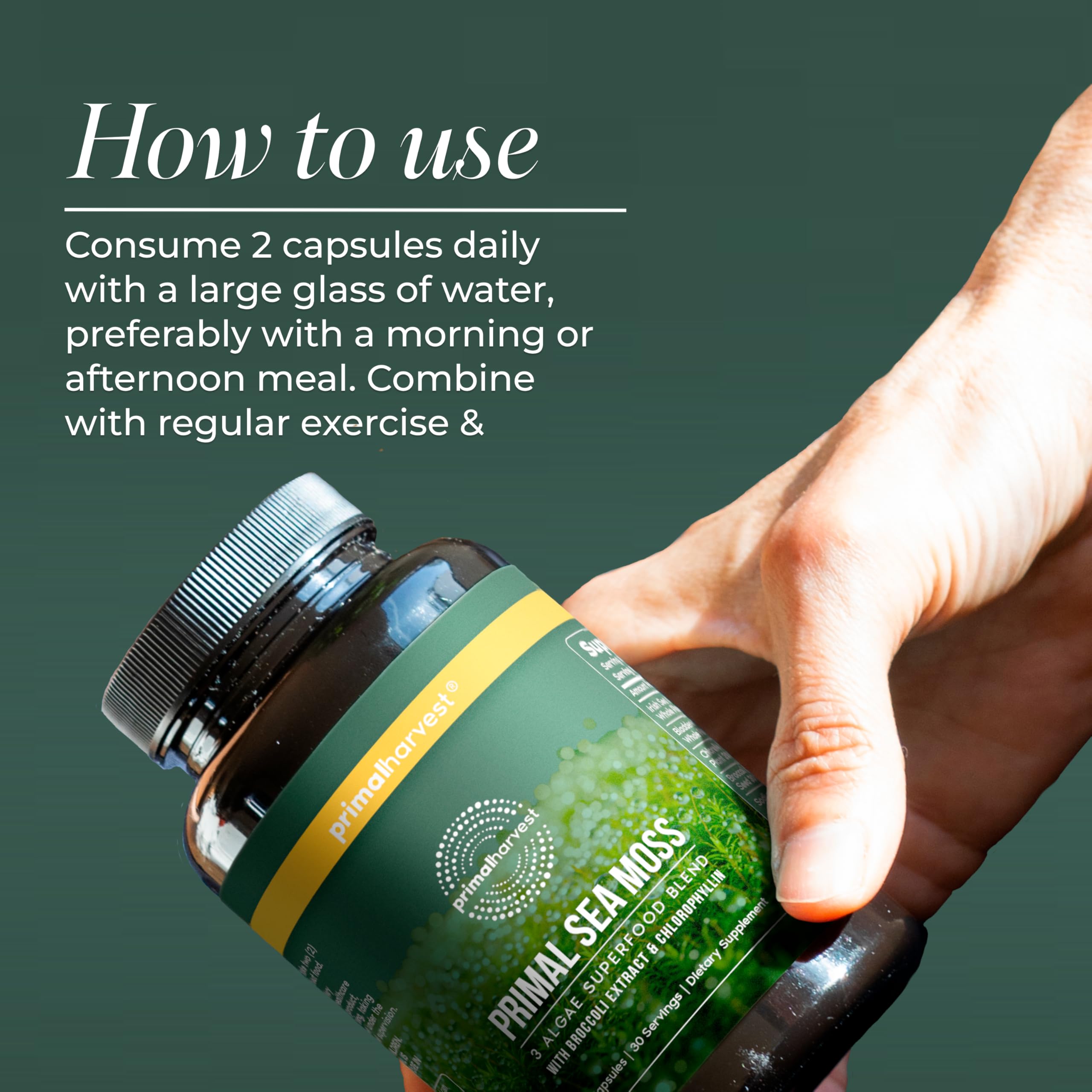 Primal Harvest Sea Moss Bladderwrack image highlights natural marine minerals for daily balance.