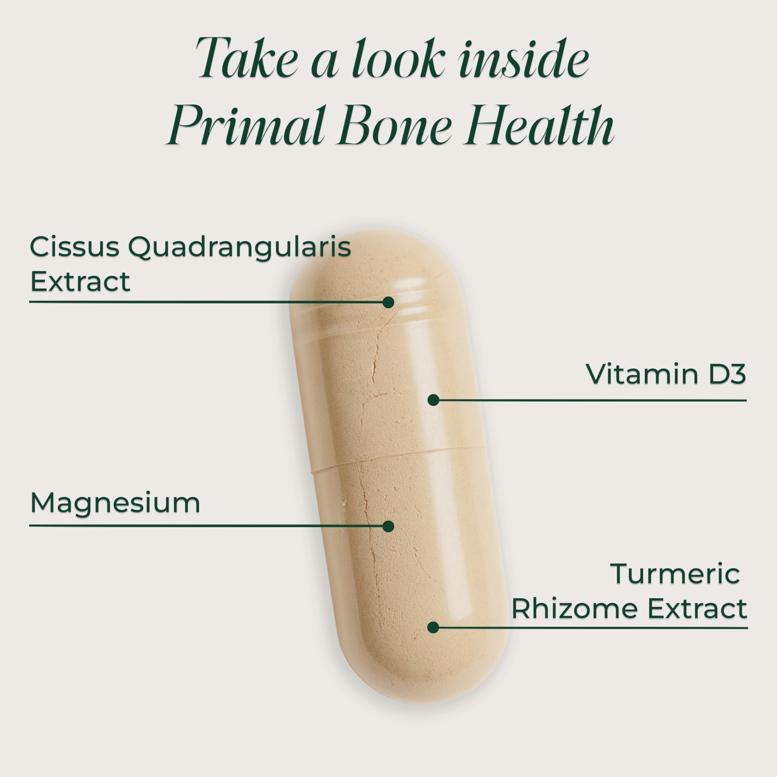 Primal Harvest wellness two-pack bottle demonstrates long-lasting daily nutrition.