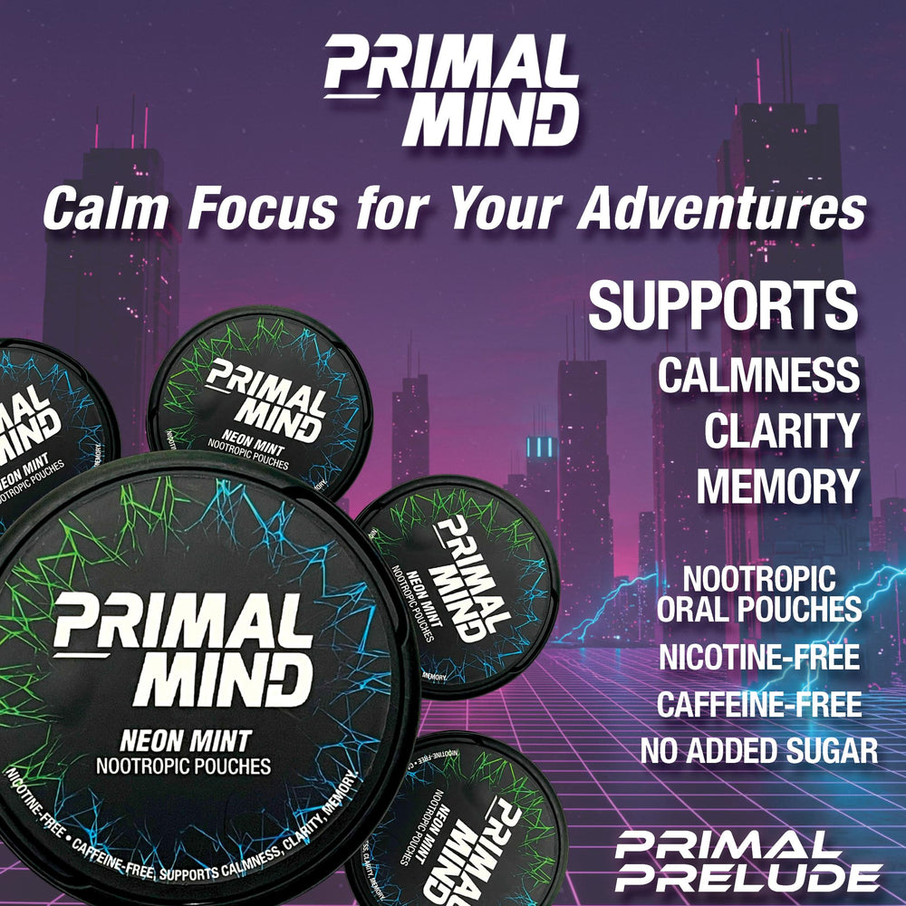 Primal Prelude on-the-go pouch used for study, gaming, or travel