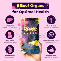 Primal Queen freeze-dried beef organs in resealable bag