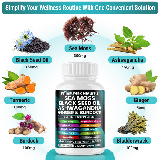 PrimalPeak Naturals sea moss capsules pour highlights convenient daily capsules for busy mornings.