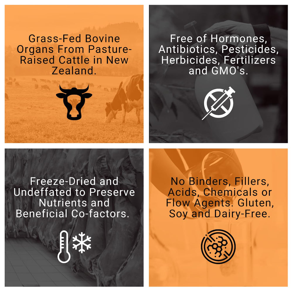 PRIMALRX Bovine Organ Powder packaging bottle and label.